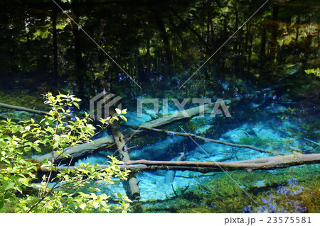 神の子池　北海道 23575581