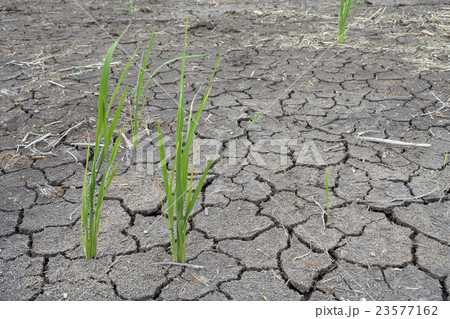 Soil drought cracked 23577162