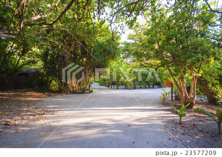 Walkway in Tropical Paradise Island, Maldives 23577209