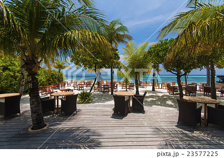 restaurant by the ocean under palm tree 23577225