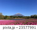 富士山と芝桜 23577991