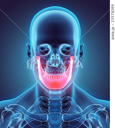 3D illustration of Mandible, medical concept. 23579269