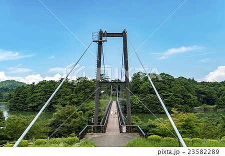 野岳大橋 23582289
