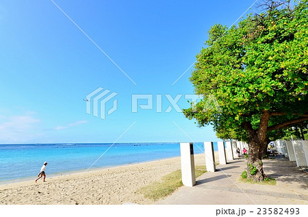 ハワイの休日 23582493