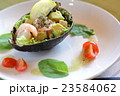 エビとアボカド 23584062