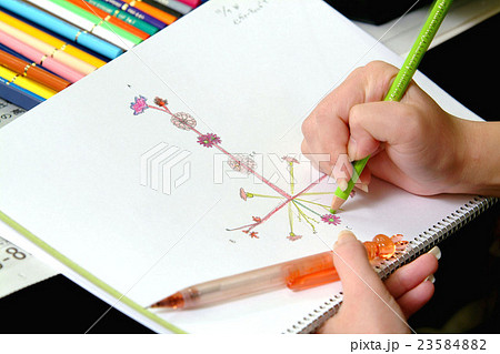 授業風景 授業 イラスト 彩色 色鉛筆 色鉛筆 下書き 構想の写真素材