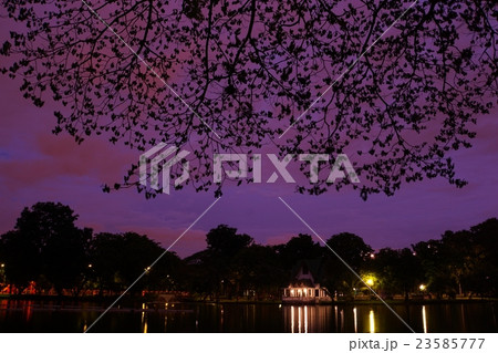 Nature of Lumpini Park（ルンピニー公園の自然） 23585777