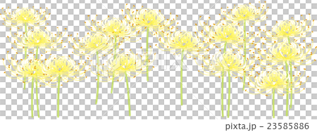 彼岸花 白のイラスト素材