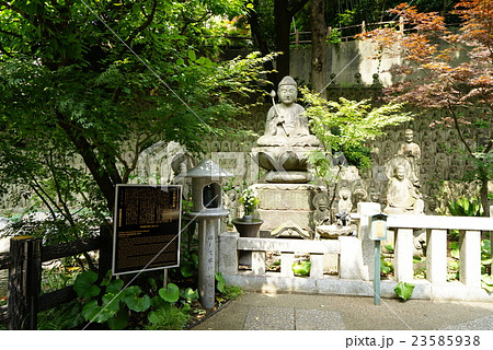 大円寺 大円寺 23585938