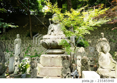 大円寺 23585940