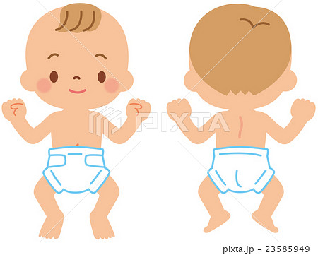 赤ちゃんの体のイラスト素材 23585949 Pixta