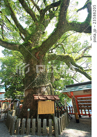 那智山　青岸渡寺 23586205