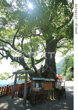 那智山　青岸渡寺 23586206