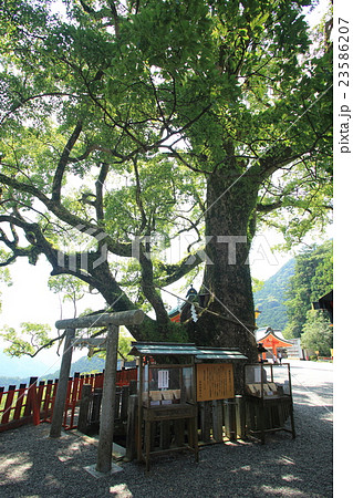 那智山　青岸渡寺 23586207