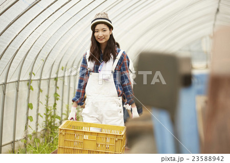 農業女子 作業風景 農業女子 作業風景 23588942