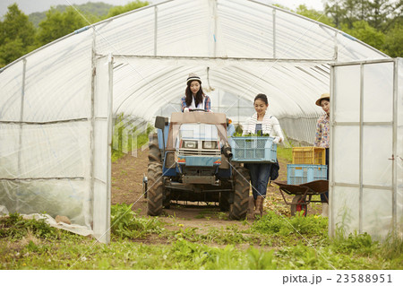 農業女子　作業風景 23588951