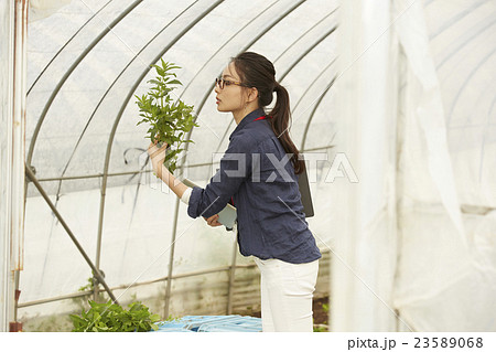 スマートアグリ　イメージ 23589068