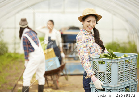 農業女子 作業風景 農業女子 作業風景 23589172