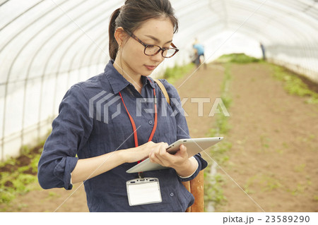 スマートアグリ　イメージ 23589290