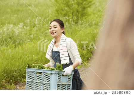 農業女子　ポートレート 23589390