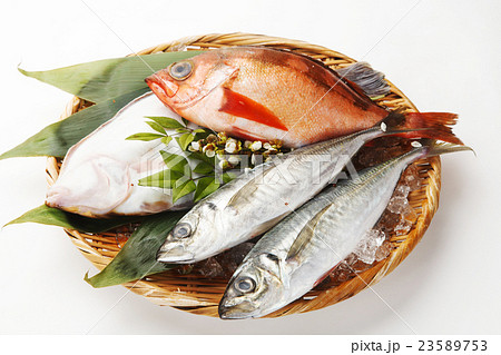 魚の盛り合せ 23589753