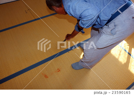 たたみ　畳 23590165