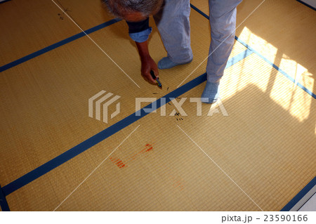 たたみ　畳 23590166