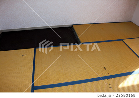 たたみ　畳 23590169