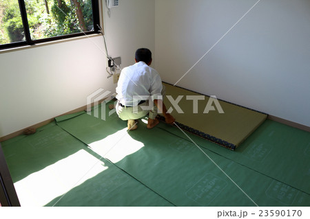たたみ　畳 23590170