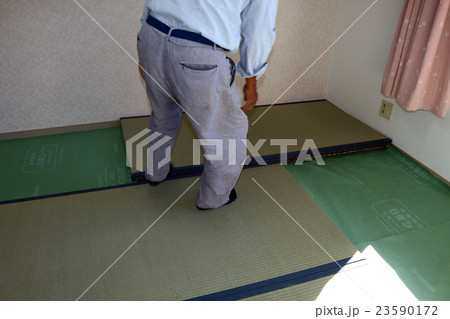 たたみ　畳 23590172
