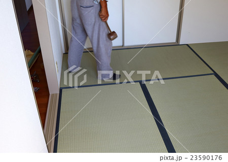 たたみ　畳 23590176