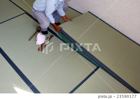 たたみ　畳 23590177