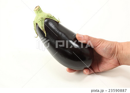 米ナス 米ナス 23590887