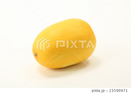 まくわ瓜 まくわ瓜 23590971