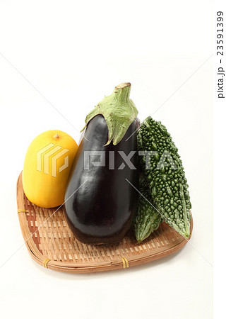 夏野菜・ナス、ゴーヤ、まくわうり 23591399