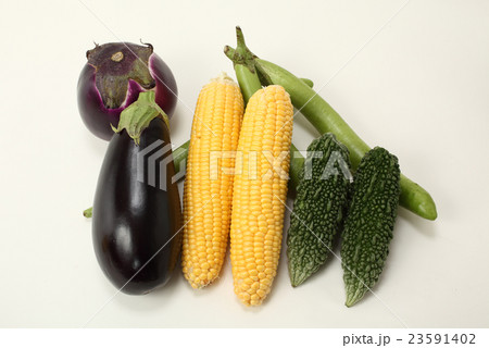 夏野菜・ナス、ゴーヤ、まくわうり 23591402