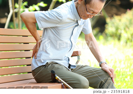 散歩　シニア男性　ベンチ 23591818
