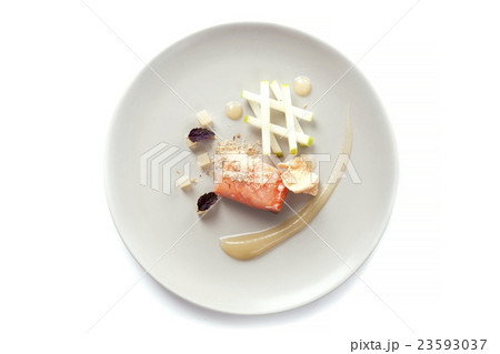 Molecular modern cuisine red fish 23593037