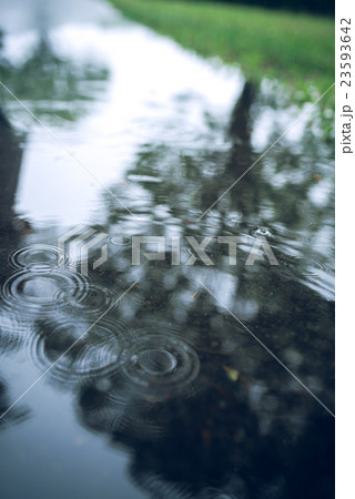 雨 雨 23593642