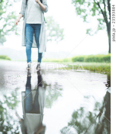 雨 雨 23593884