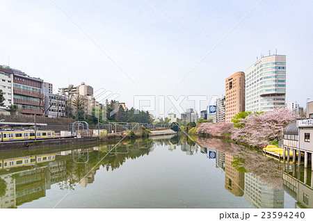 春の外濠公園 23594240