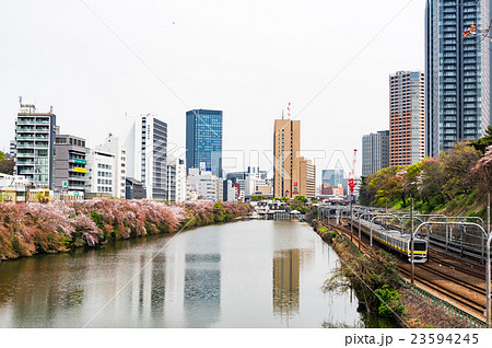 春の外濠公園 春の外濠公園 23594245