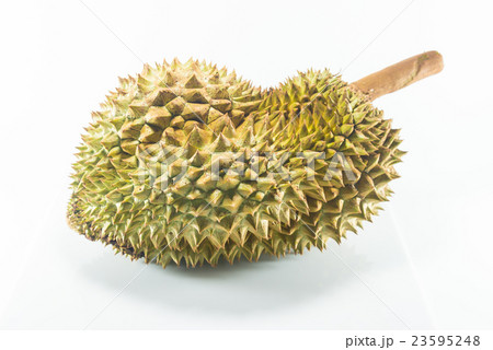 Durian Durian 23595248