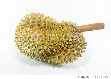 Durian 23595249