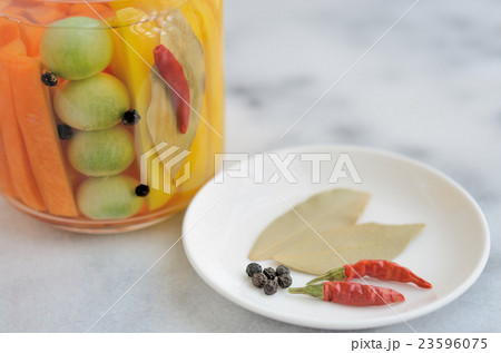 夏野菜のサラダ風ピクルス 夏野菜のサラダ風ピクルス 23596075