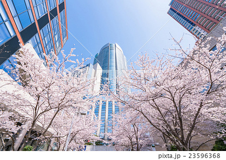 東京・桜の名所 東京・桜の名所 23596368