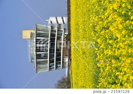 福島潟（新潟市） 23597126