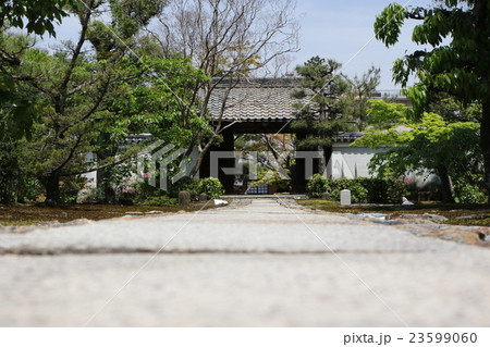 真如寺 真如寺 23599060