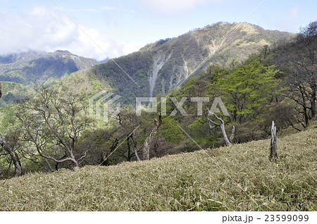 陽射しさす不動ノ峰 23599099