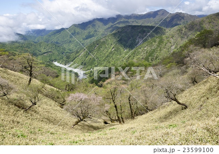 春色の丹沢山地 23599100